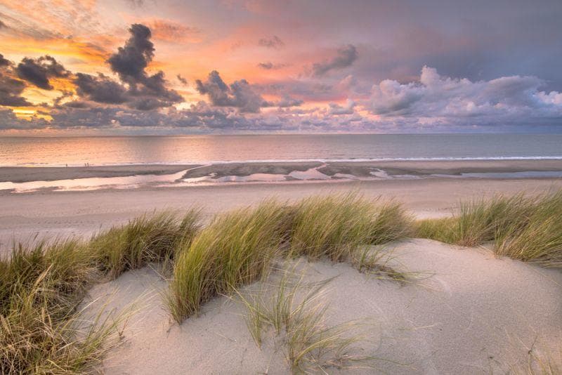 Cover Image for Mobilität der Zukunft: Niederlande und Asien führend