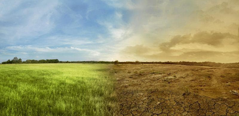 Elektroautos nicht genug: Klimaschutz durch Antriebsmix?