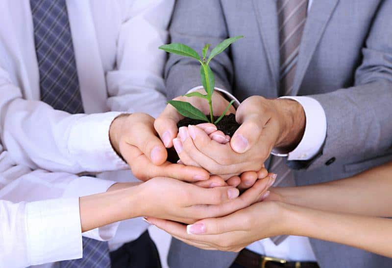 BASF Toda America LLC (BTA) für Batteriematerialien gegründet