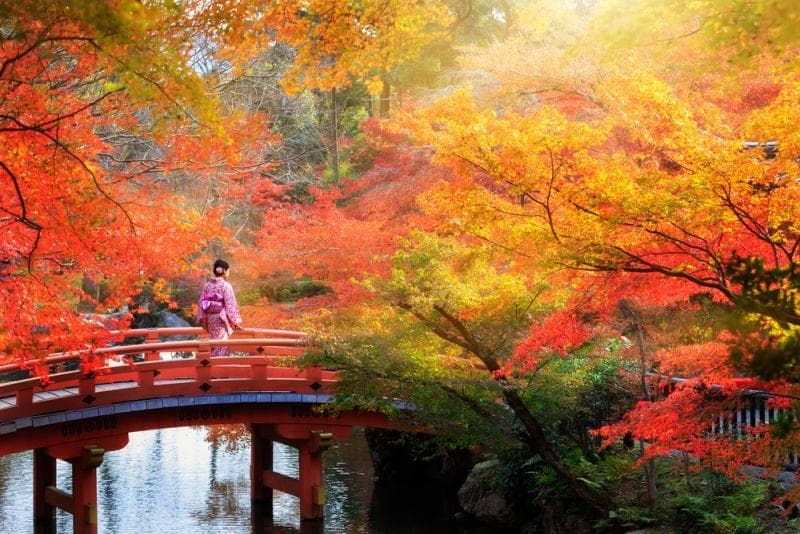 Cover Image for Japan-Bündnis entwickelt Feststoff-Akkus