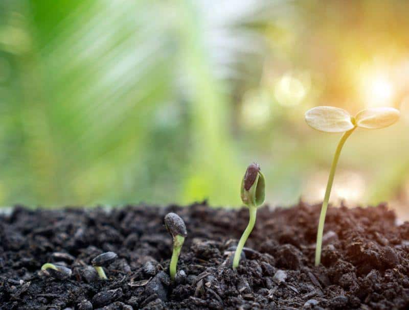 Cover Image for Wirtschaftsforscherin: „Potenziale der Elektromobilität als die wichtigste Größe bei der Klima- und Energiewende“