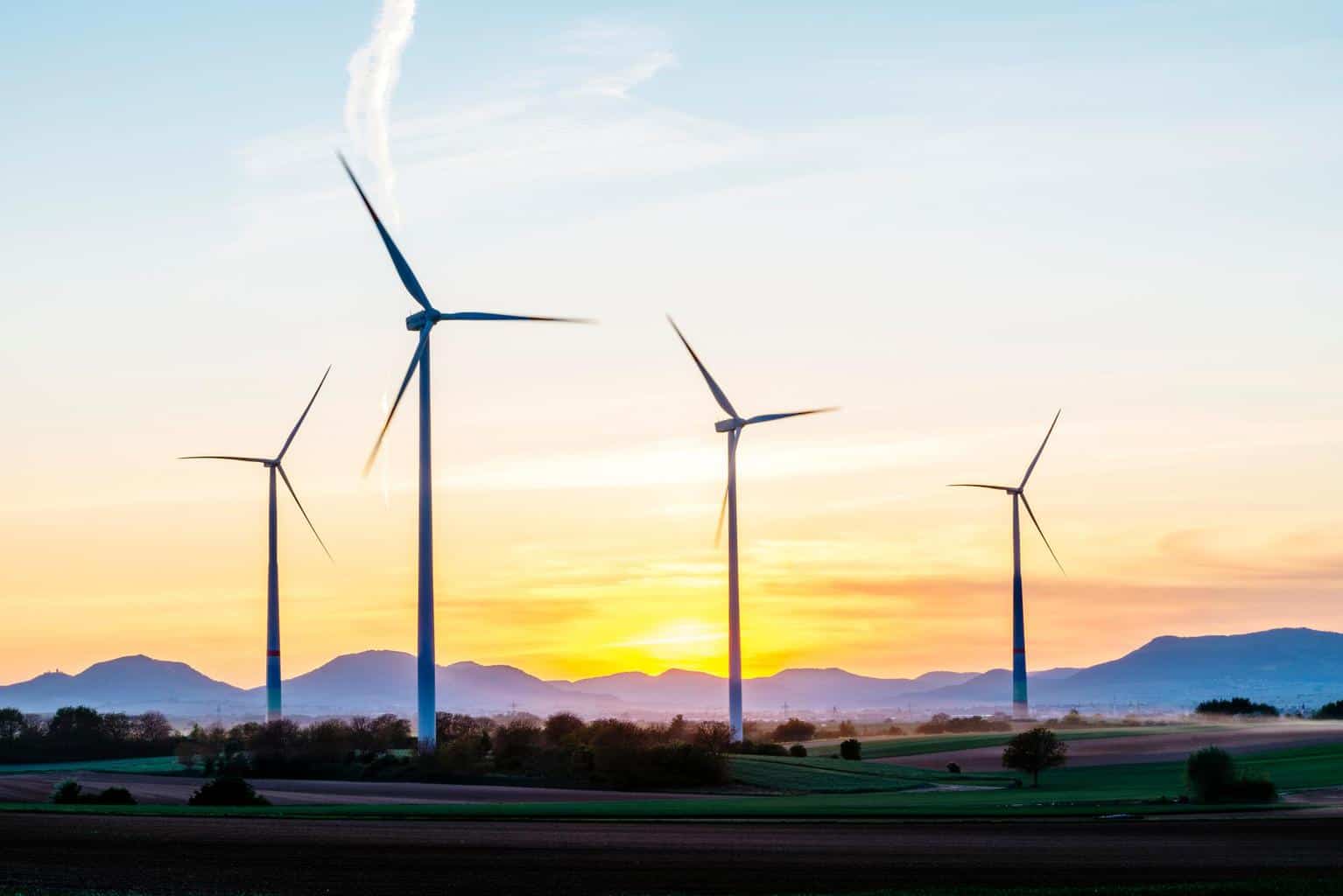 Cover Image for Amazon tätigt 2020 größte Investition eines Unternehmens in erneuerbare Energien