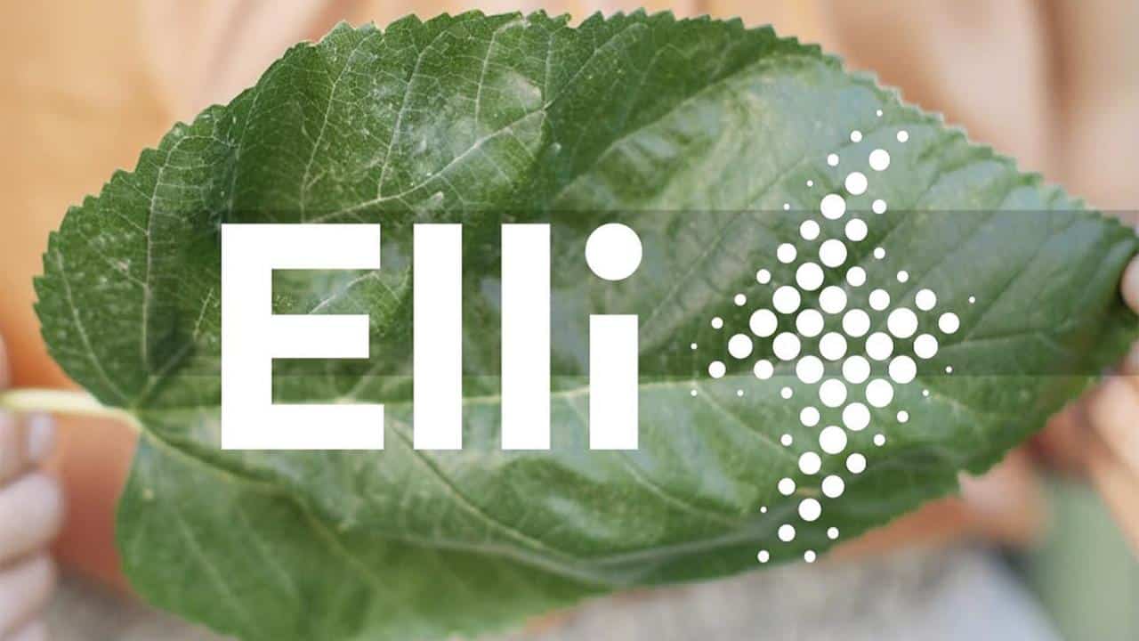 Cover Image for VW-Ladeservice Elli jetzt mit europaweit 400.000 Ladepunkten