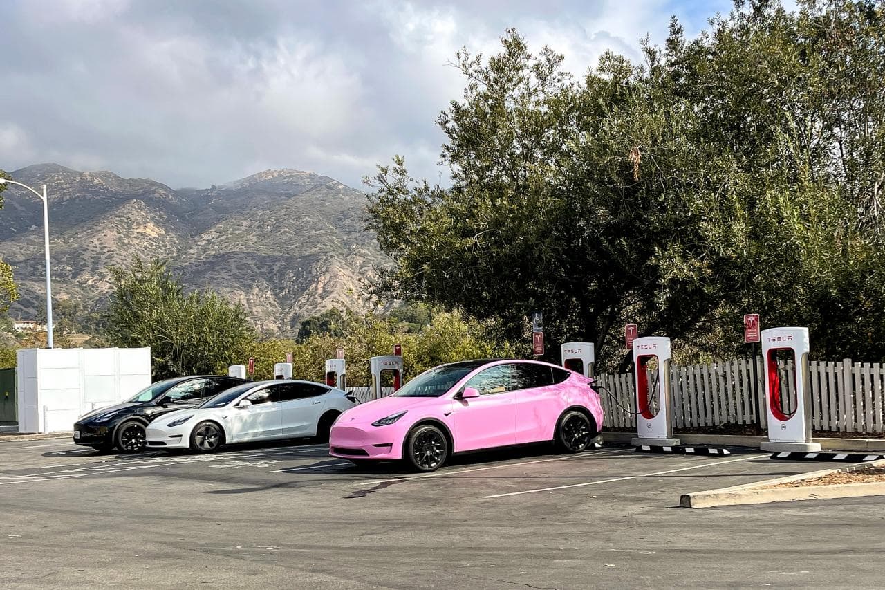 Tesla Auftragsbestand um rund zwei Drittel eingebrochen