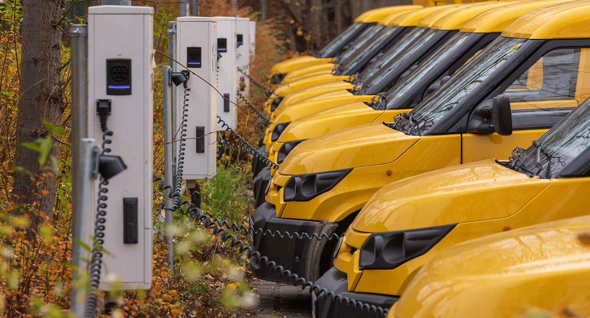 Hybrider Briefversand: Emissionsvermeidung mit Insetting