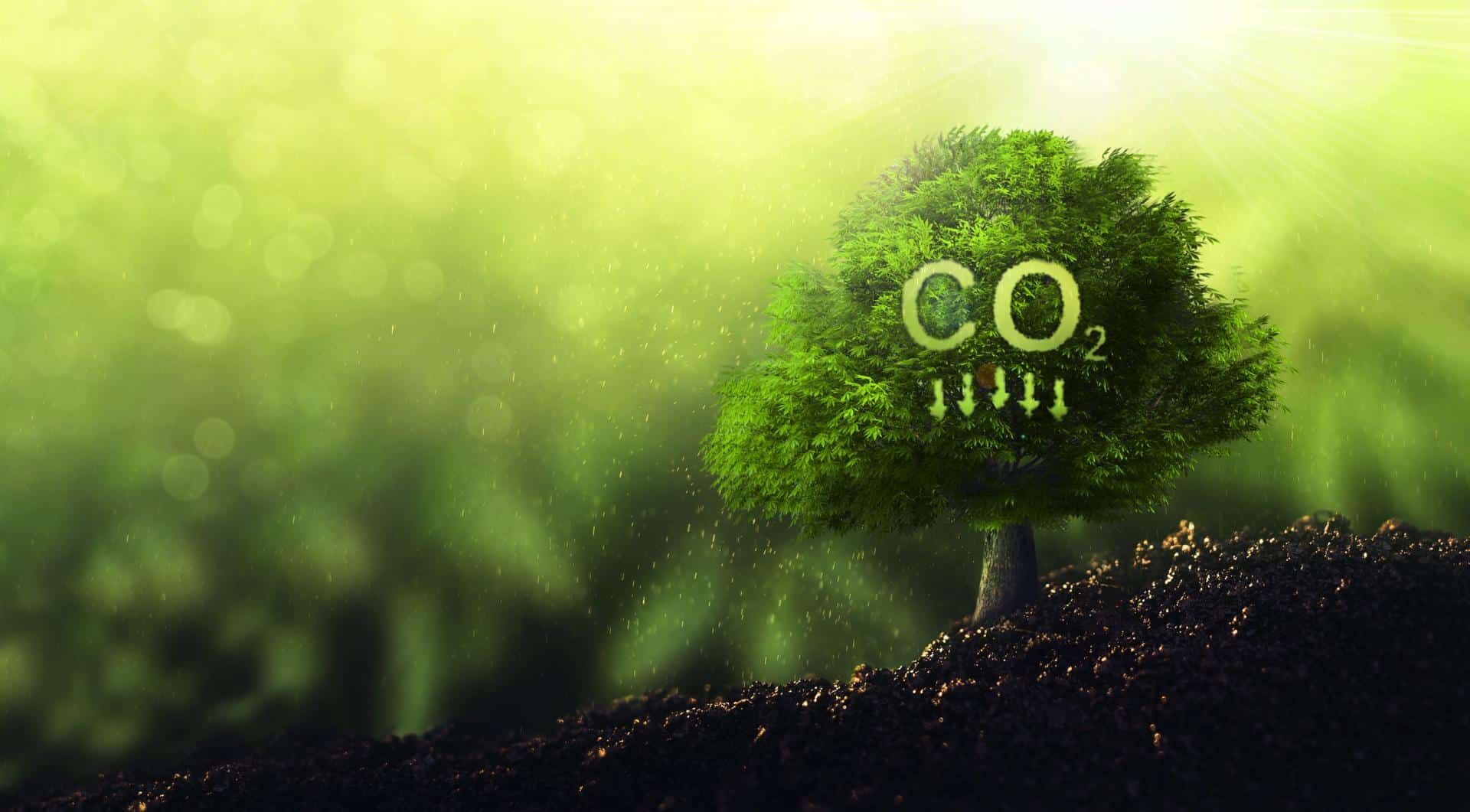 Cover Image for CO2-Neutralität: Das planen BMW und Mercedes