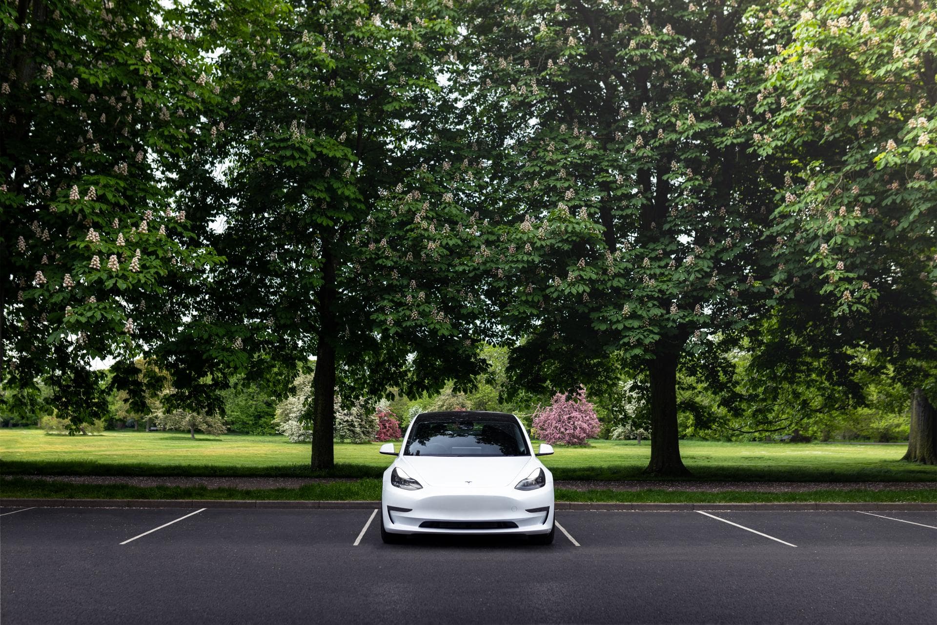 Cover Image for Tesla in China: Absatz rückläufig