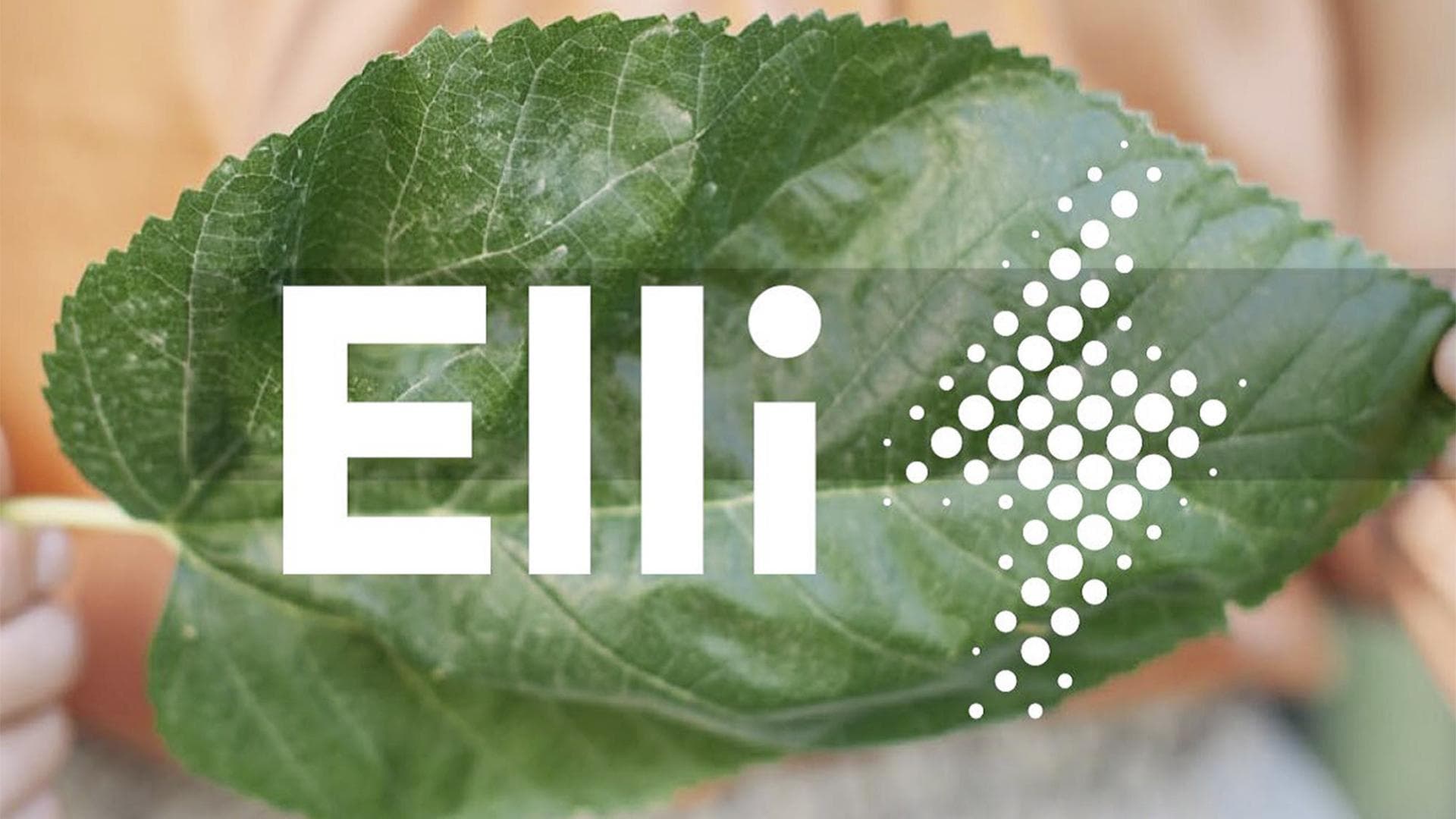 Cover Image for Elli: Ladenetz wächst auf 600.000 Ladepunkte