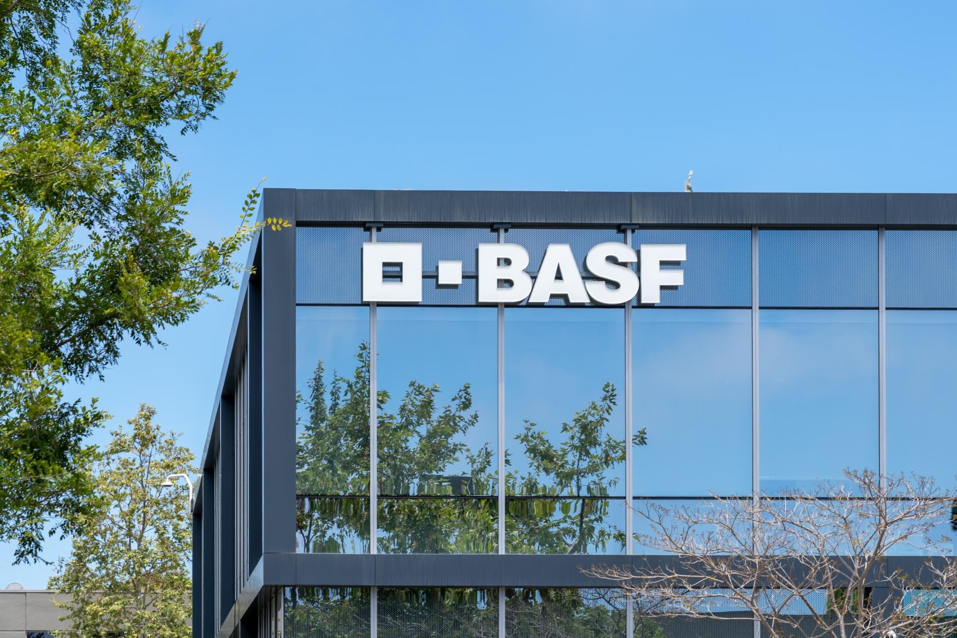 Cover Image for BASF: Eigenständige Einheit für Batteriematerialien