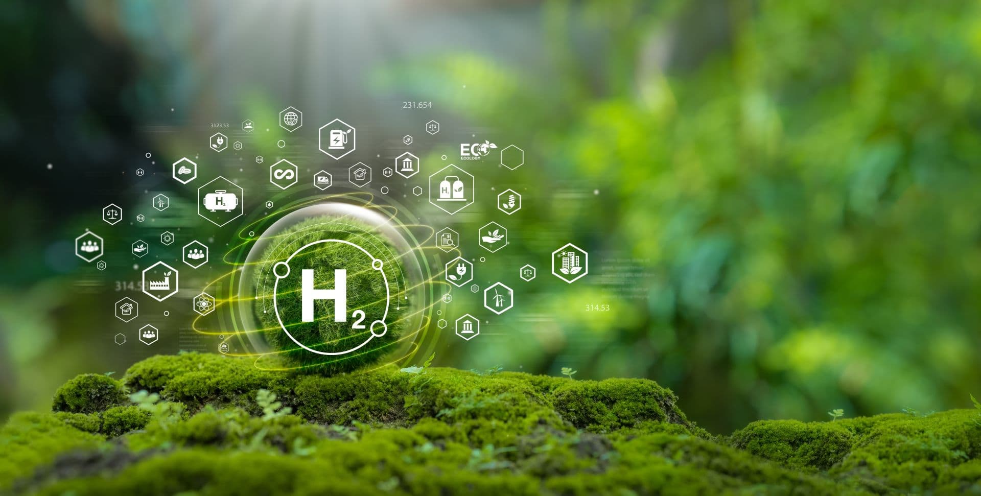 Cover Image for H2greenPlanet rettet Hoeller Electrolyzer aus Insolvenz