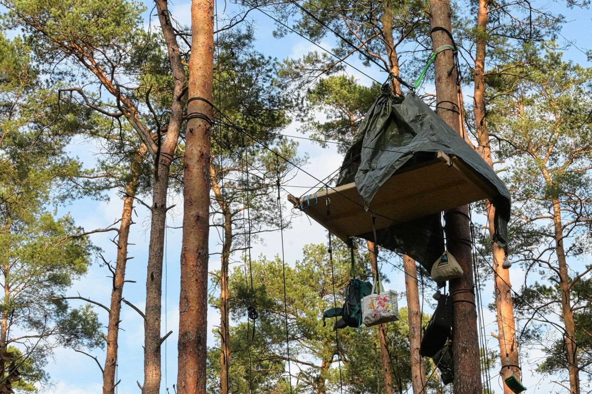 Polizei räumt Protestcamp gegen Tesla in Grünheide