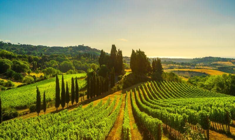 Cover Image for Italien will bis 2022 eine Million Elektrofahrzeuge auf die Straße bringen