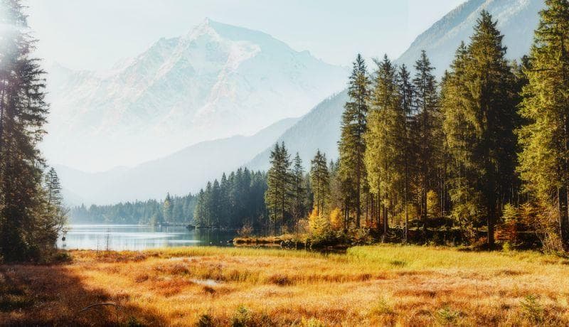 Cover Image for Bayern startet dritten Förderaufruf zum Ausbau der Elektroauto-Ladeinfrastruktur