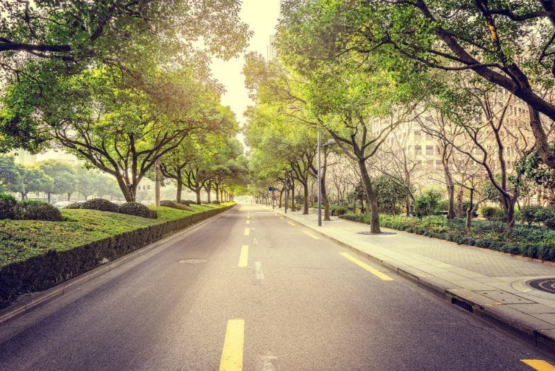 Cover Image for Grüne fordern Quote für Elektroauto-Ladestationen