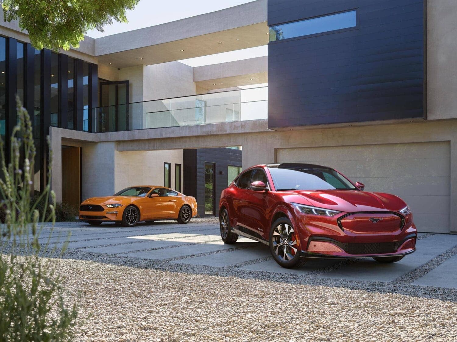 Cover Image for First Edition des Ford Mustang Mach-E schon nicht mehr verfügbar