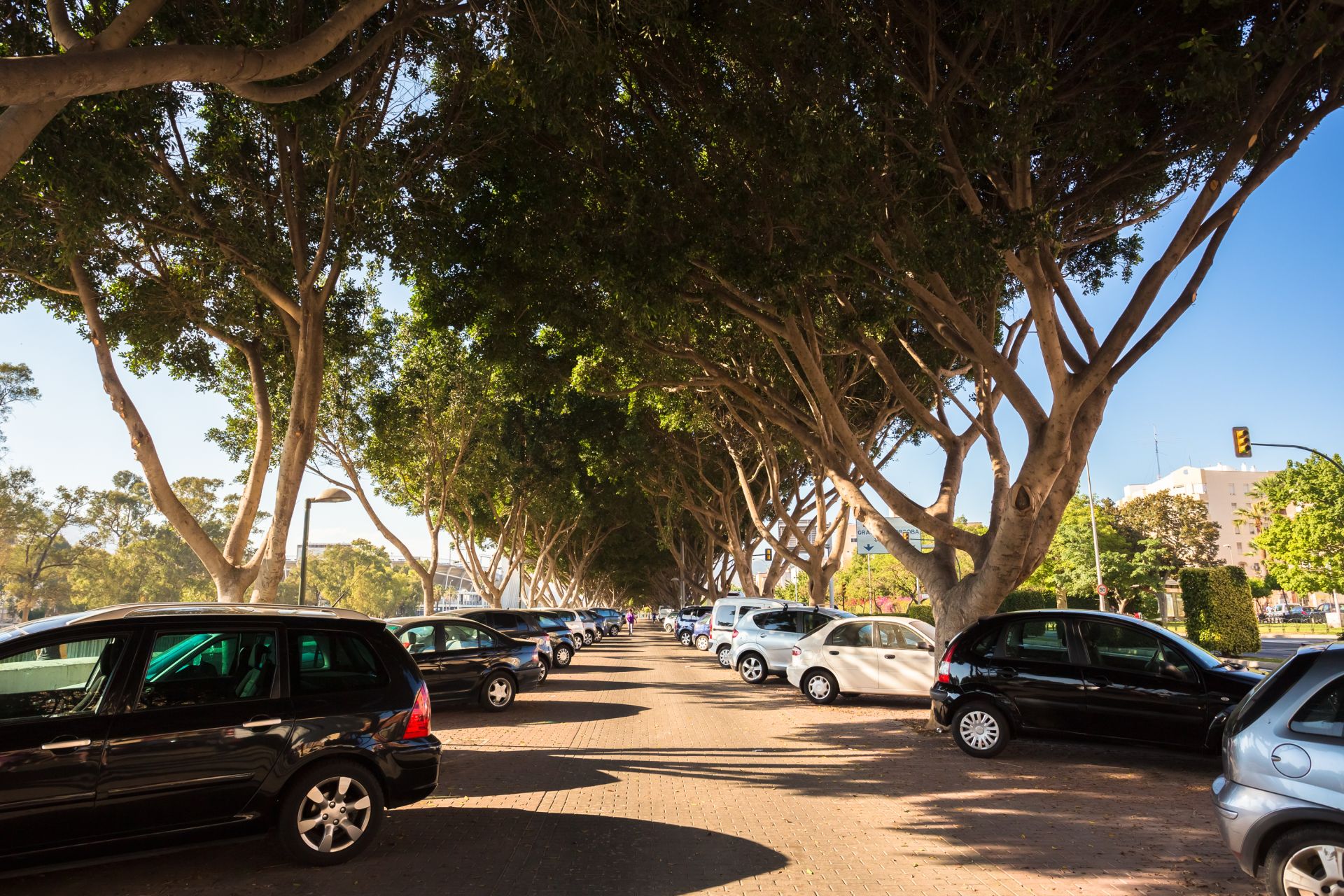 Ein Blick auf die Elektroauto- & Hybridauto-Zulassungen im Januar 2020
