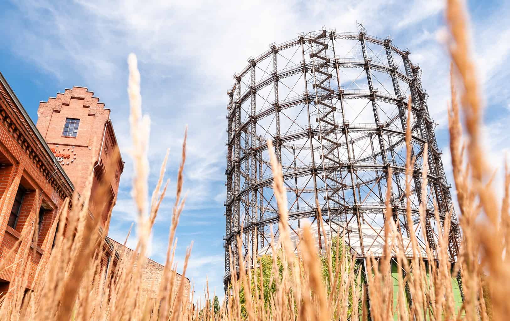 Tesla darf Fundamentarbeiten in Grünheide starten und soll Designzentrum in Berlin planen