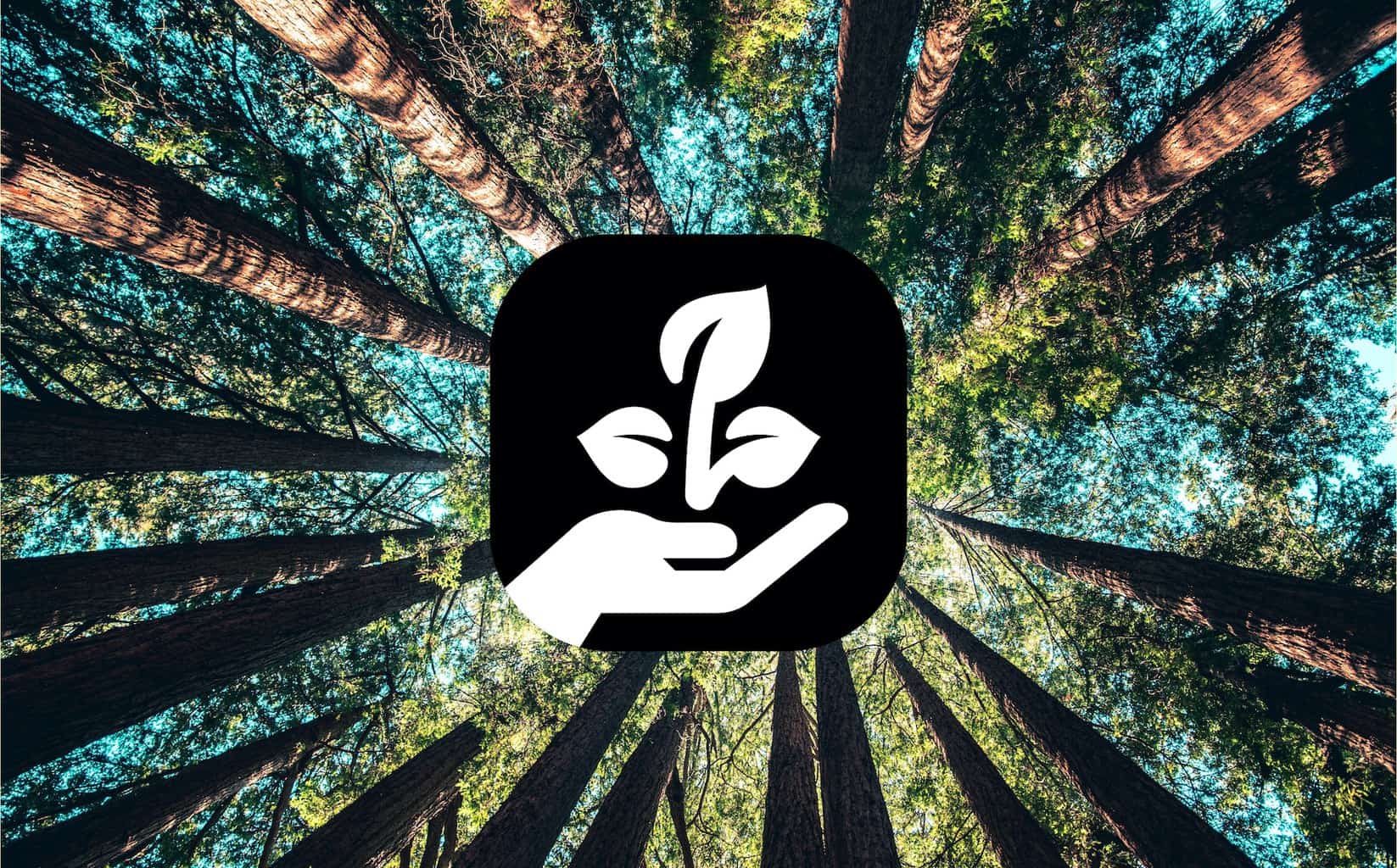 Juice Technology gleicht CO2-Emissionen mit Aufforstung aus