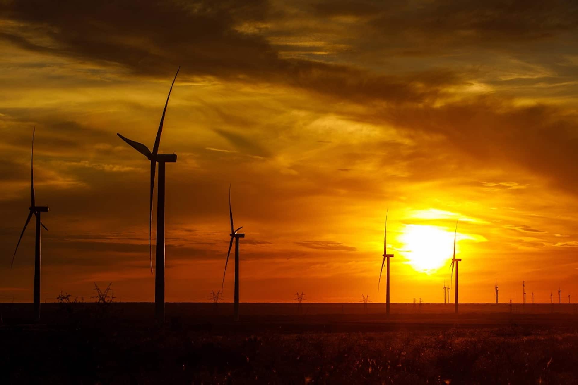 Cover Image for Elektrotransporter und Solarenergie: Wie Versandriese Amazon CO2-neutral werden will