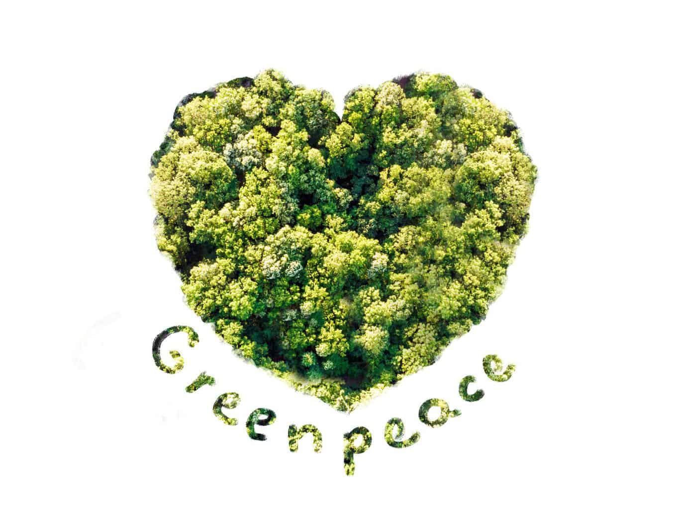 Greenpeace wirft VW Täuschung bei Kompensation von CO2 vor