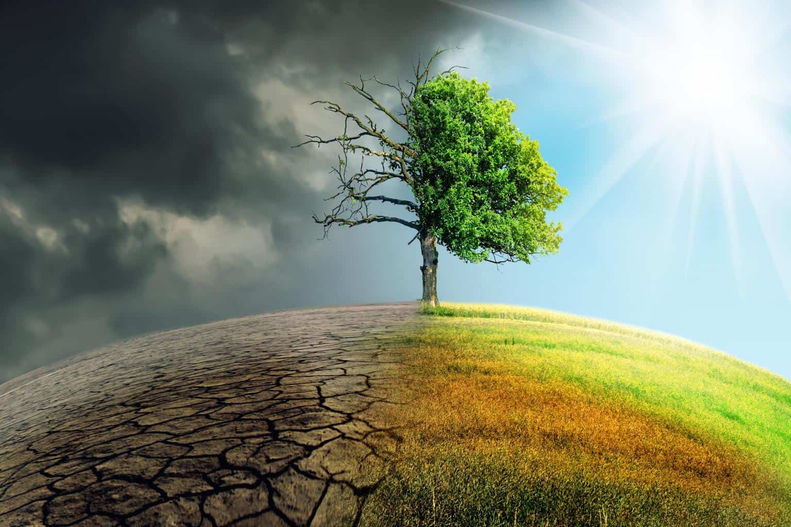 Cover Image for Klimawandel avanciert zum „Top-Thema“ im Transport- und Logistiksektor