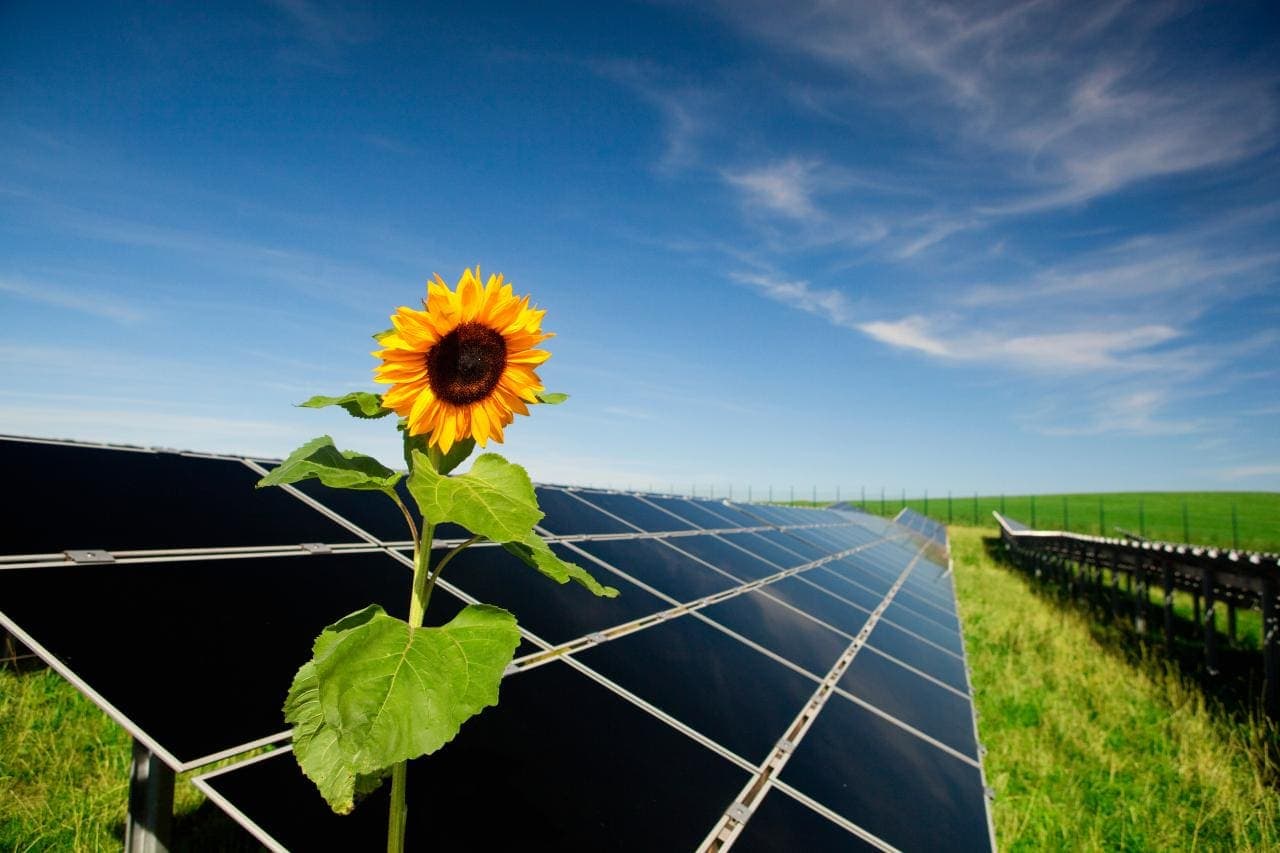 Cover Image for Wie PV-Anlagen und Stationärspeicher den Strombedarf von E-Autos decken können