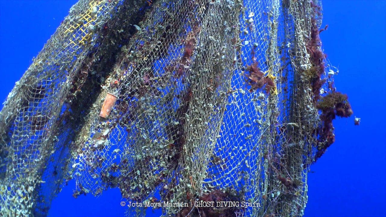 Nachhaltige Materialien im Ioniq 5: Hyundai und Healthy Seas