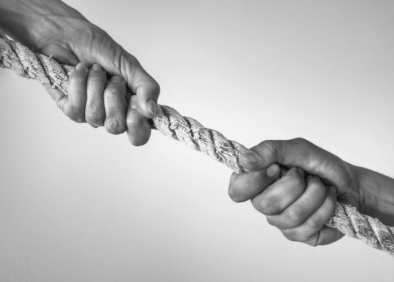 Cover Image for Zell-Produktion: VDMA beklagt unfairen Wettbewerb