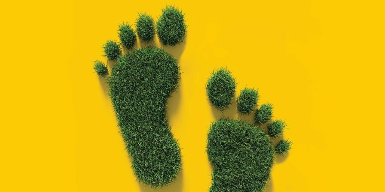 Klimafreundliche Geschäftspost: Wie sich Emissionen beim Briefversand reduzieren lassen