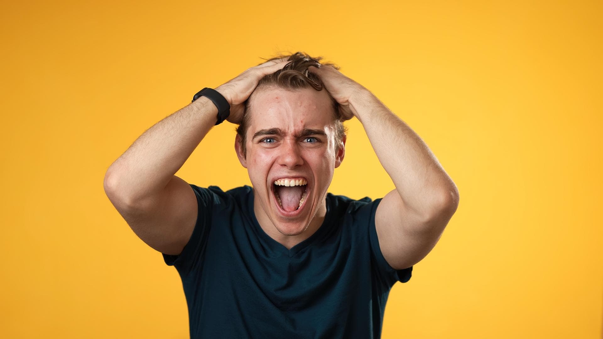 Cover Image for Steuerzahlerbund dagegen: E-Highway-Versuche werden fortgesetzt