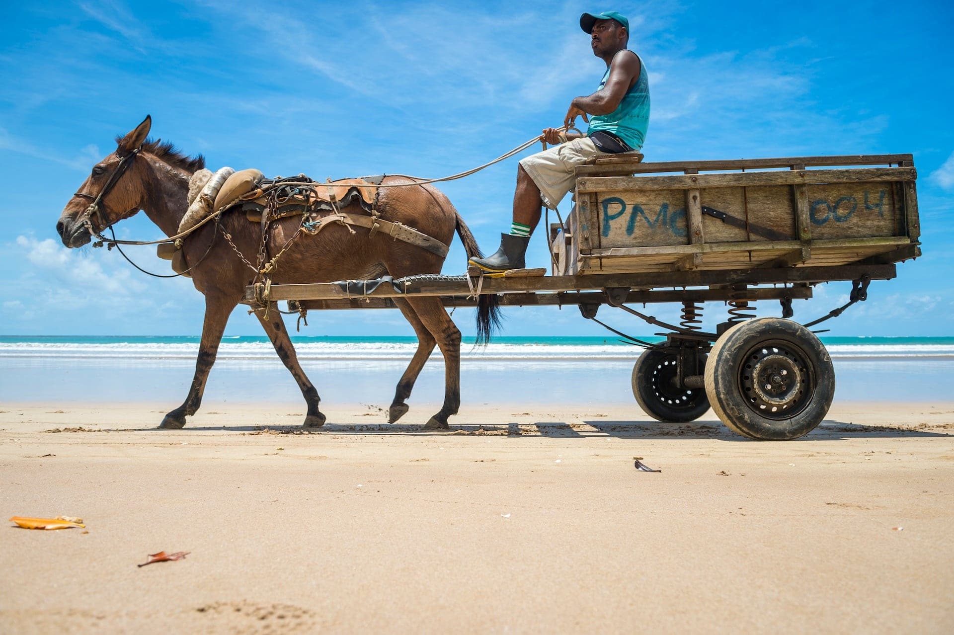 Cover Image for Diese 7 E-Autos sind günstige „Lastenesel“