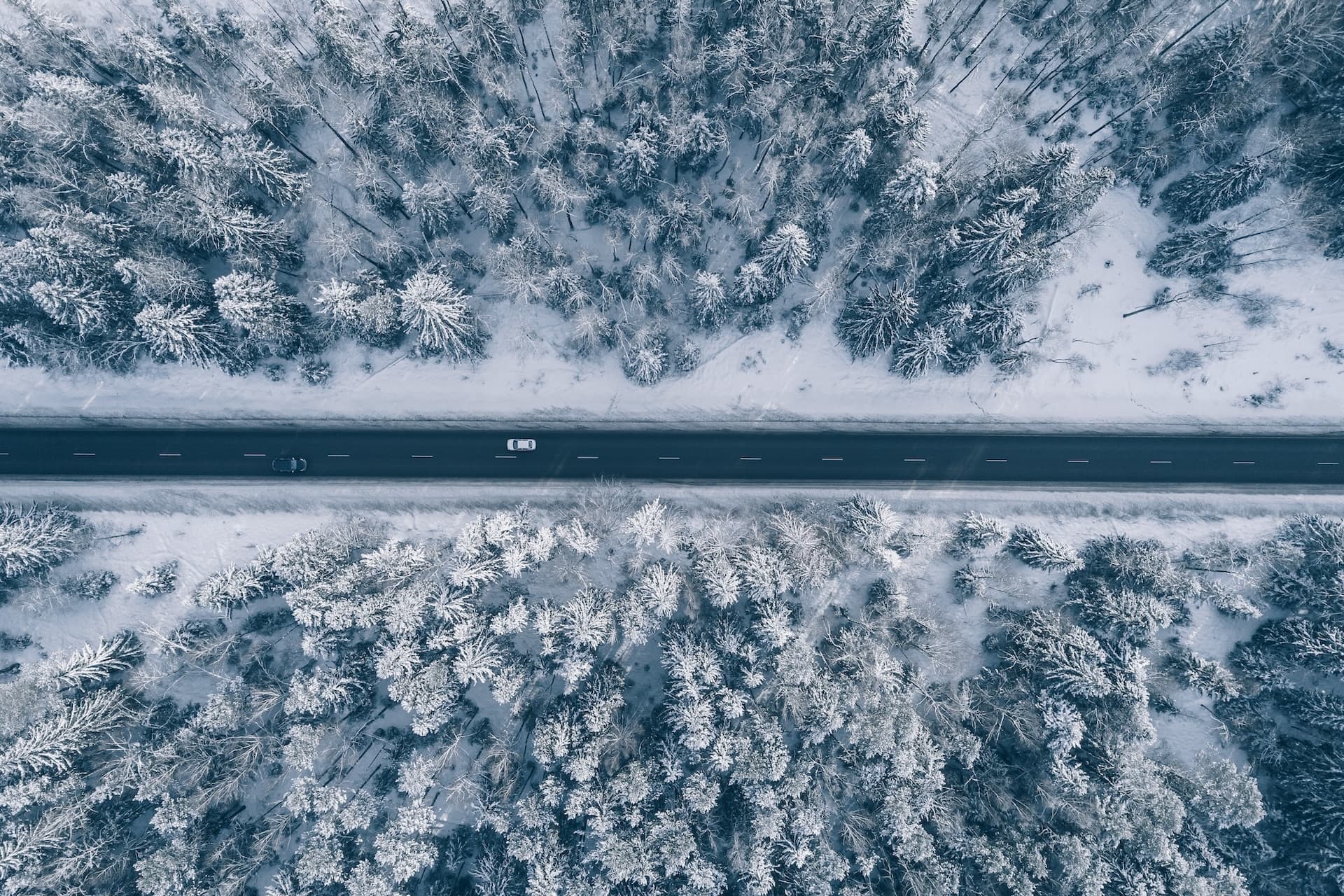 E-Autos im Wintertest: So weit kommen sie wirklich