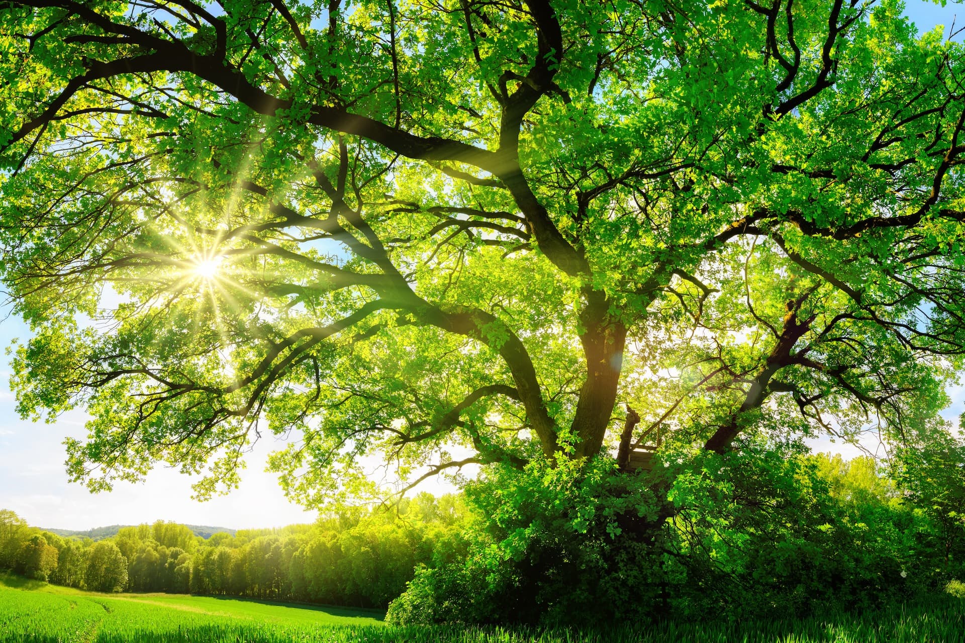 Cover Image for Je stärker Unternehmen sich wandeln, desto nachhaltiger werden sie