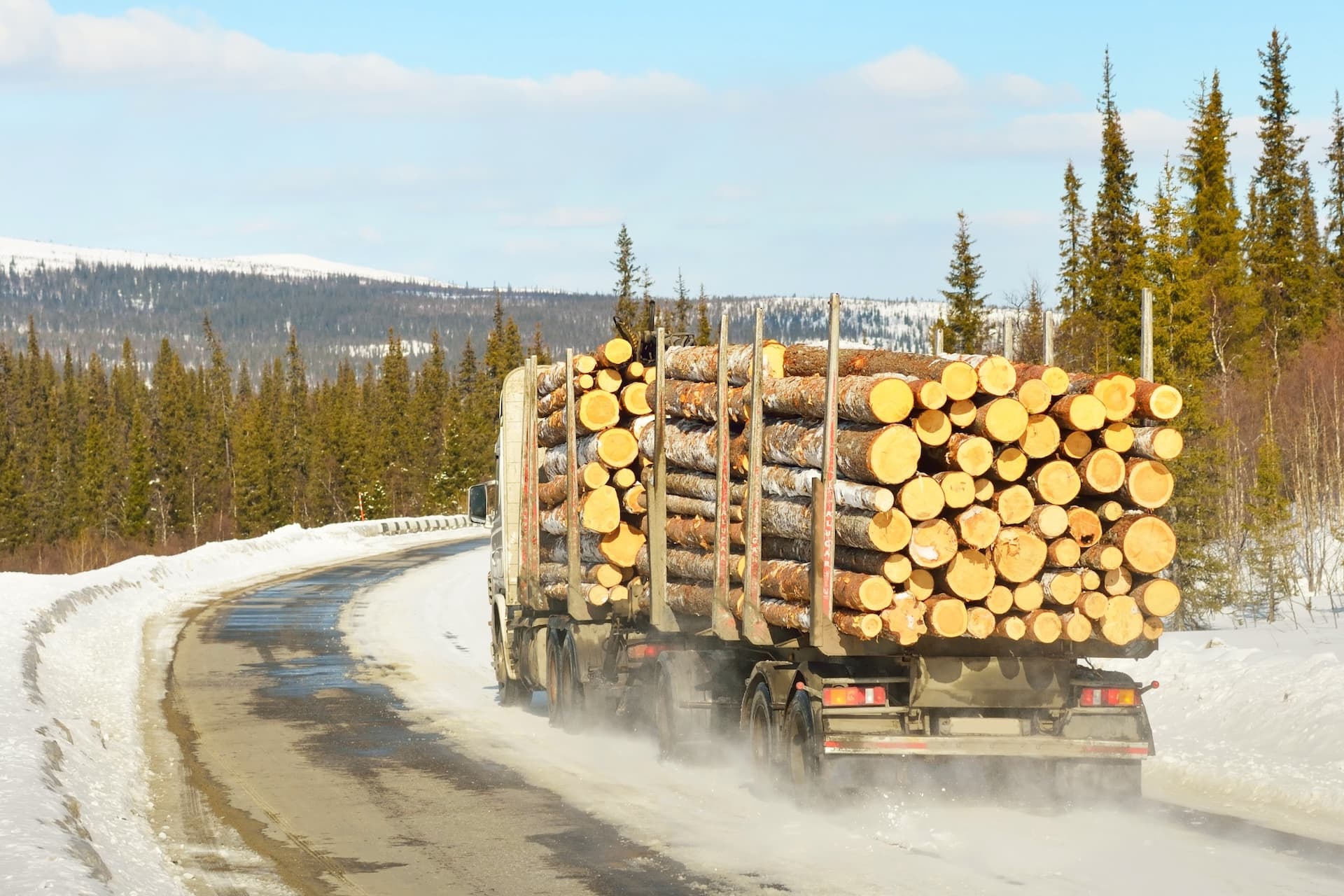 Holz zu Akkus: Uni Jena forscht an Lignin-Batterien