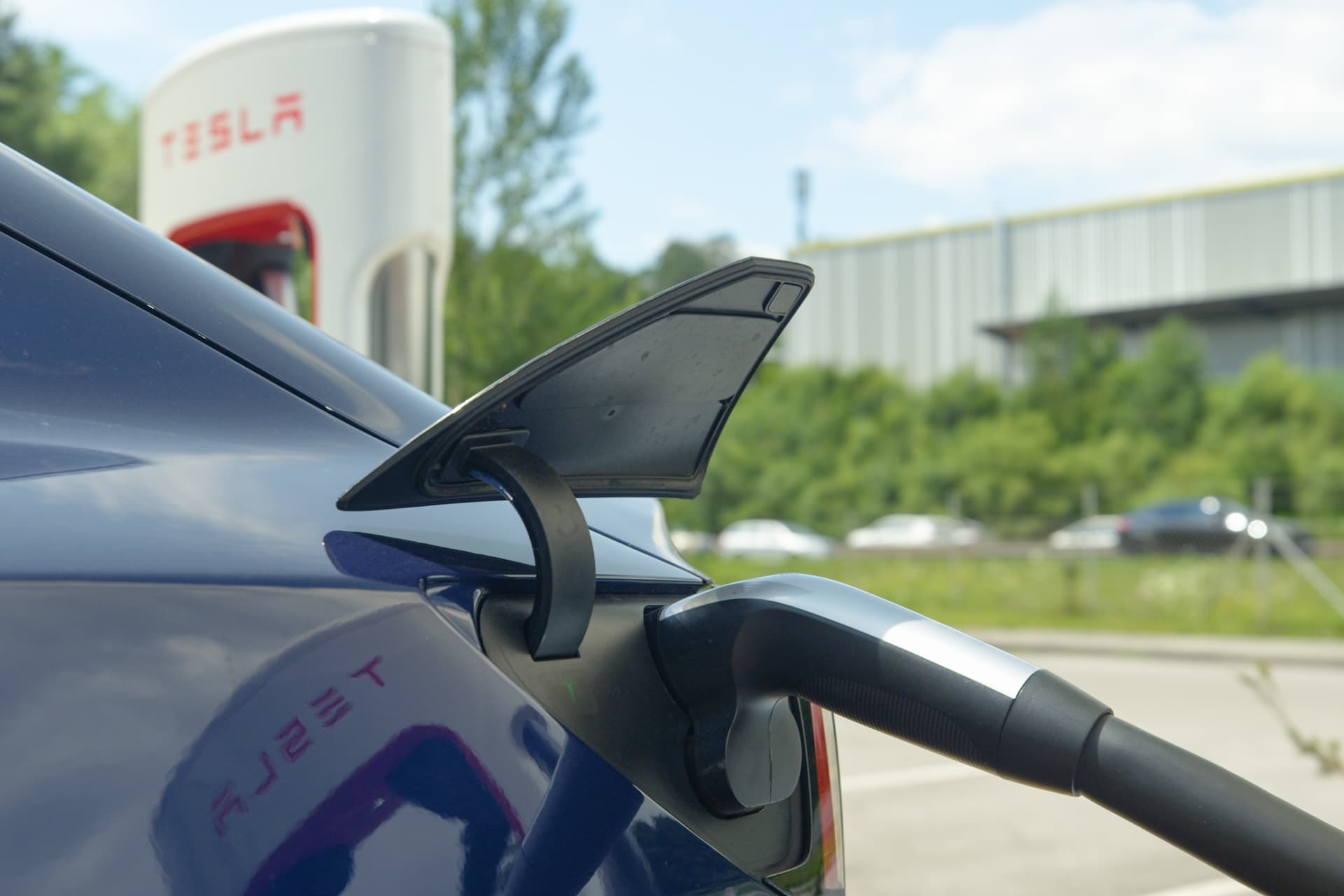 Cover Image for Diese 7 E-Autos waren 2024 in Deutschland am beliebtesten