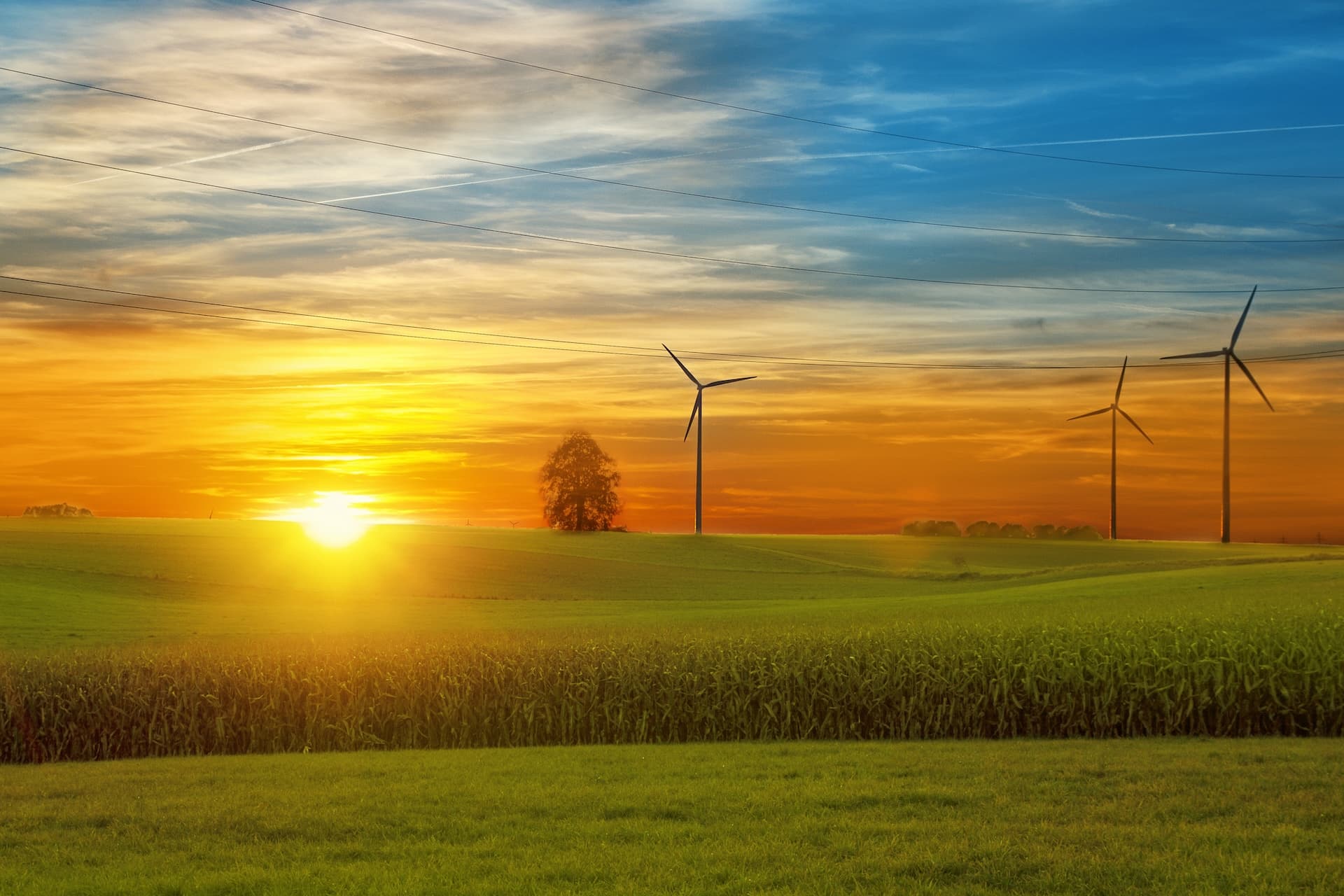 Cover Image for Wahlprogramme zur Energiewende: Wer will was?