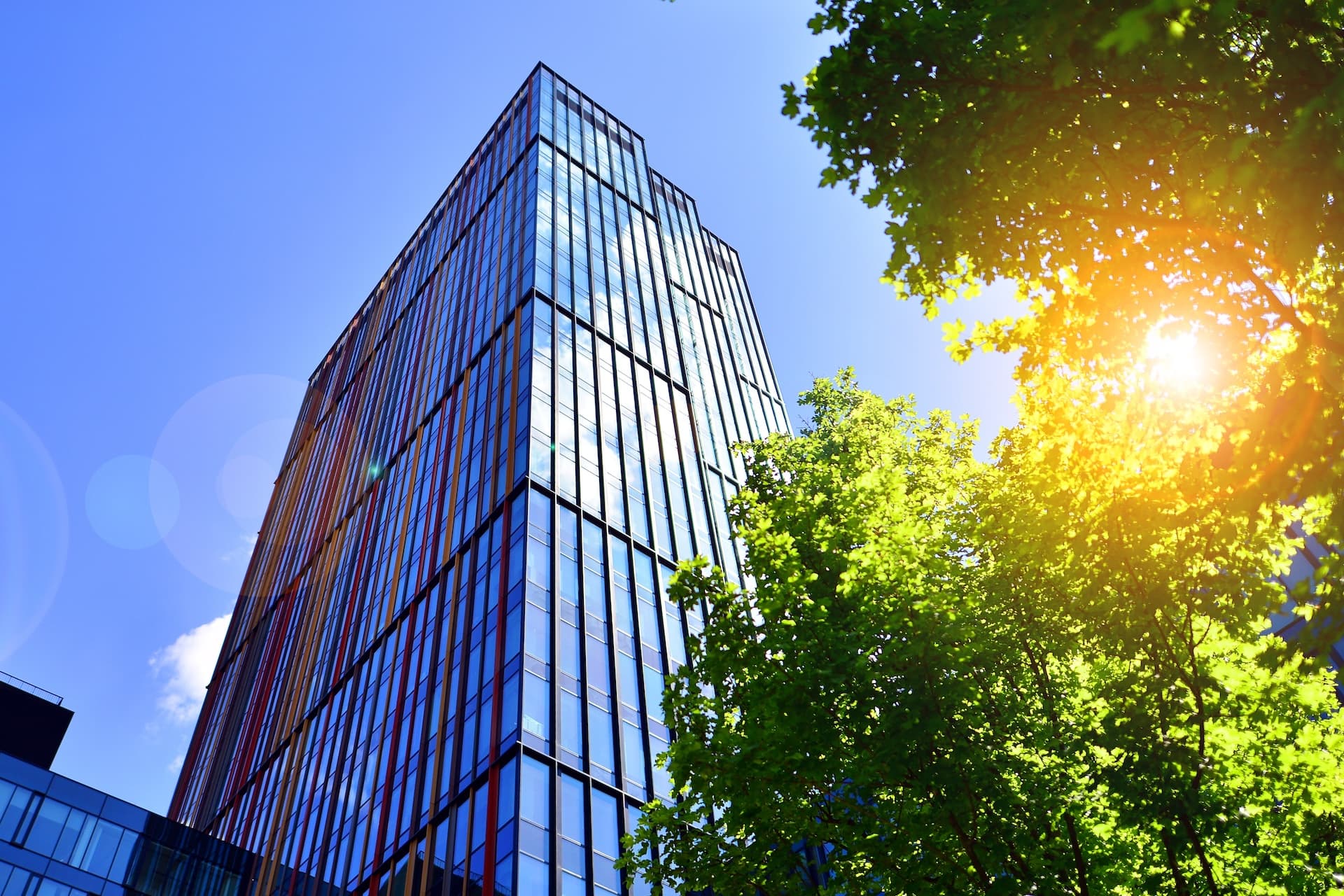 Investitionen in Nachhaltigkeit steigen weiter