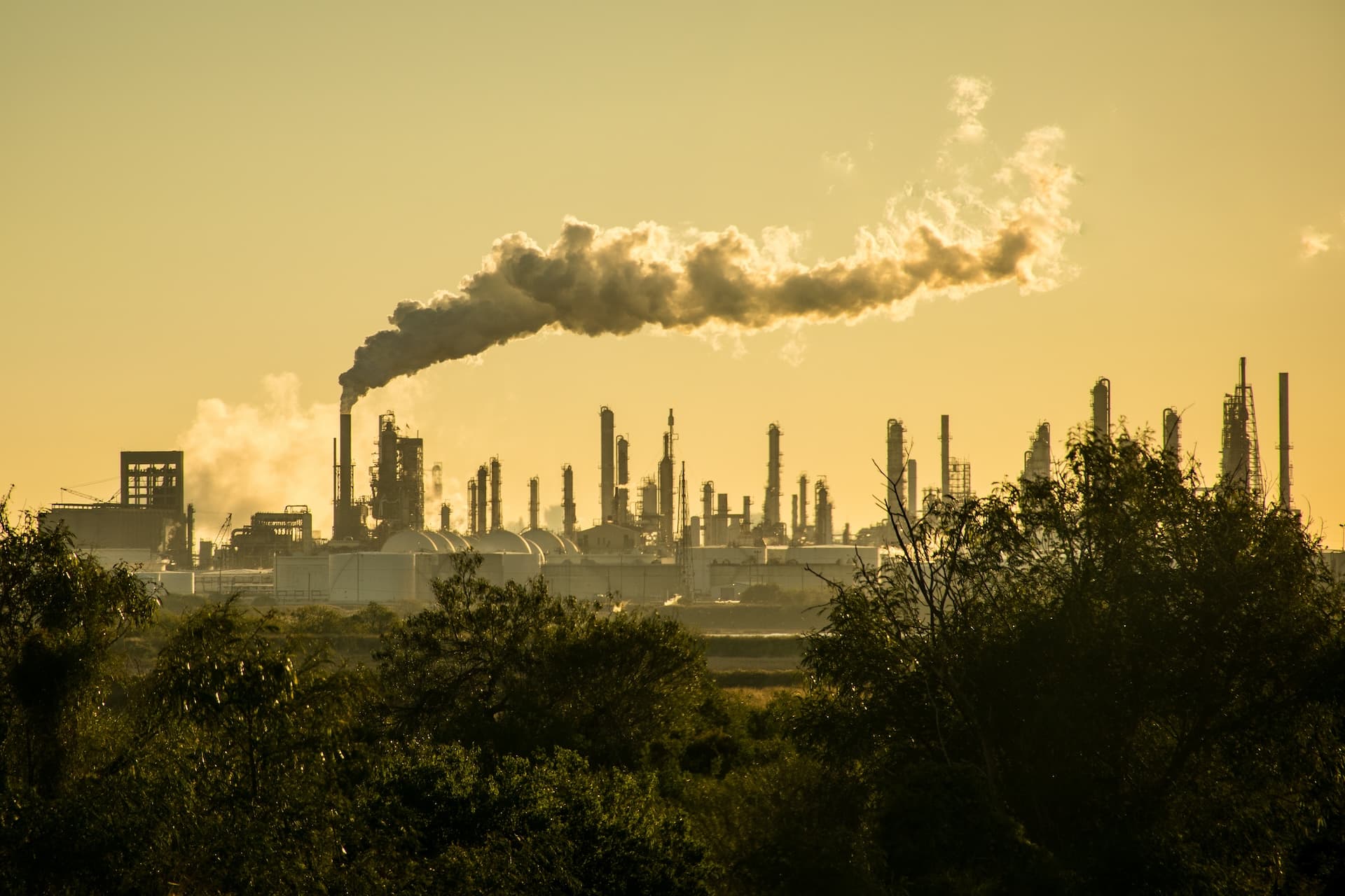 Cover Image for DIW: „Trump wirft uns im internationalen Klimaschutz um Jahre zurück“