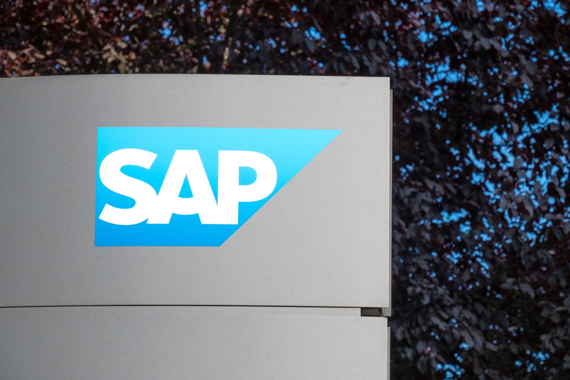 2030 soll jeder der 19.000 SAP-Dienstwagen elektrisch sein