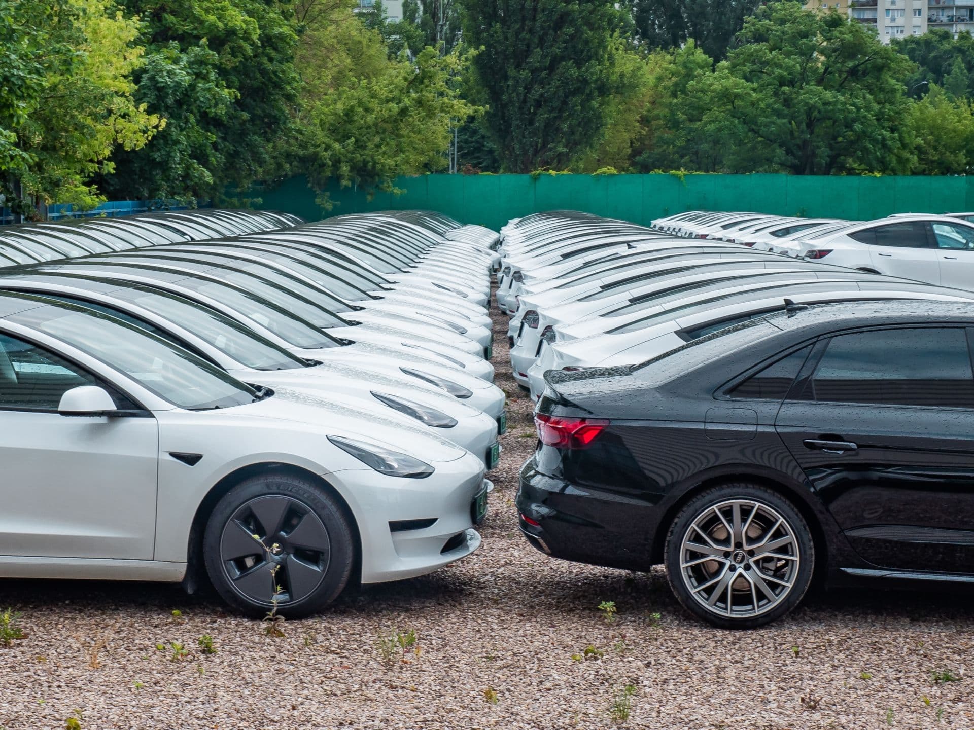 Tesla will Vertrieb stärker auf Flottenkunden ausrichten