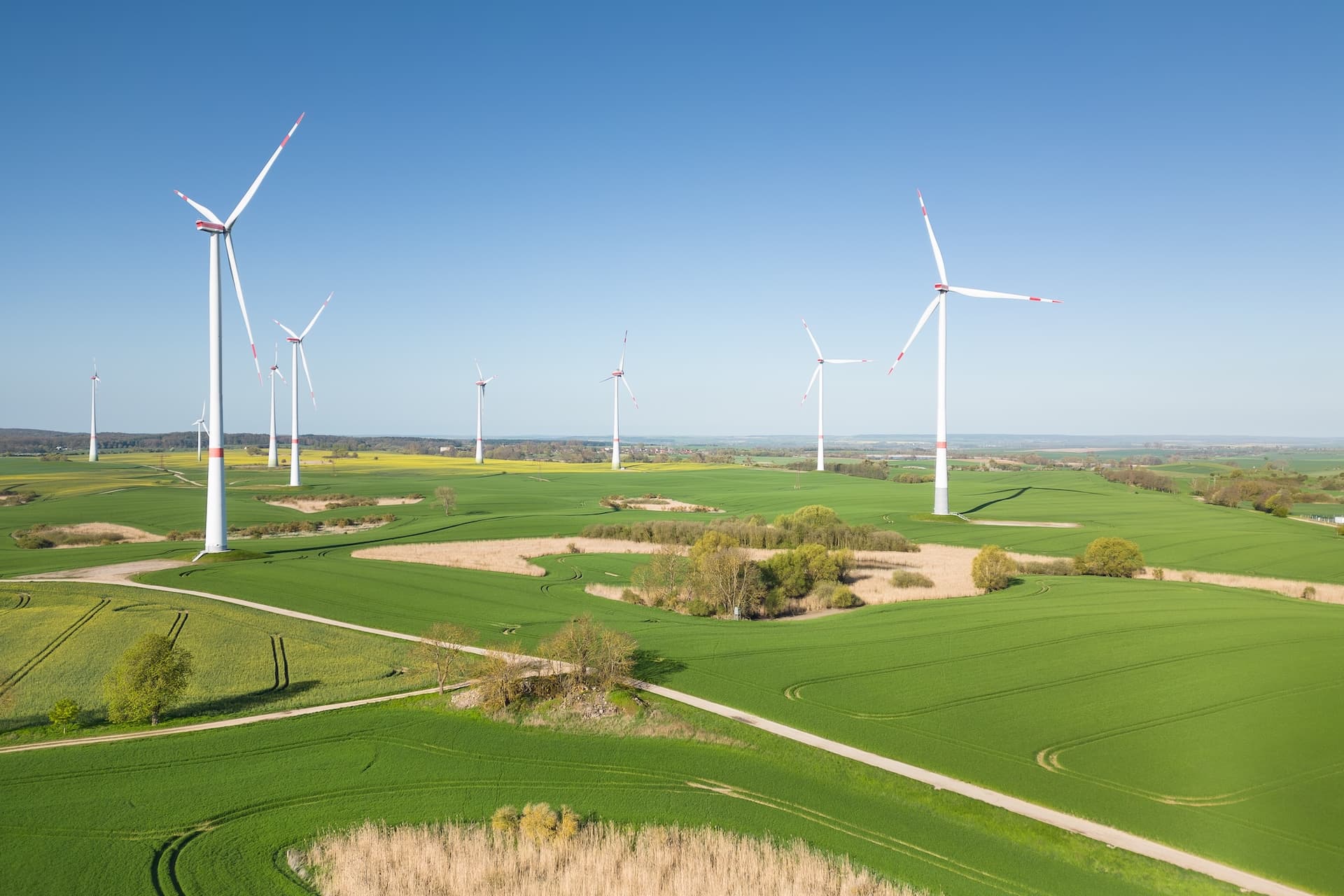 Cover Image for Grünen-Politiker fordert gezielte E-Auto-Förderung für ländliche Regionen