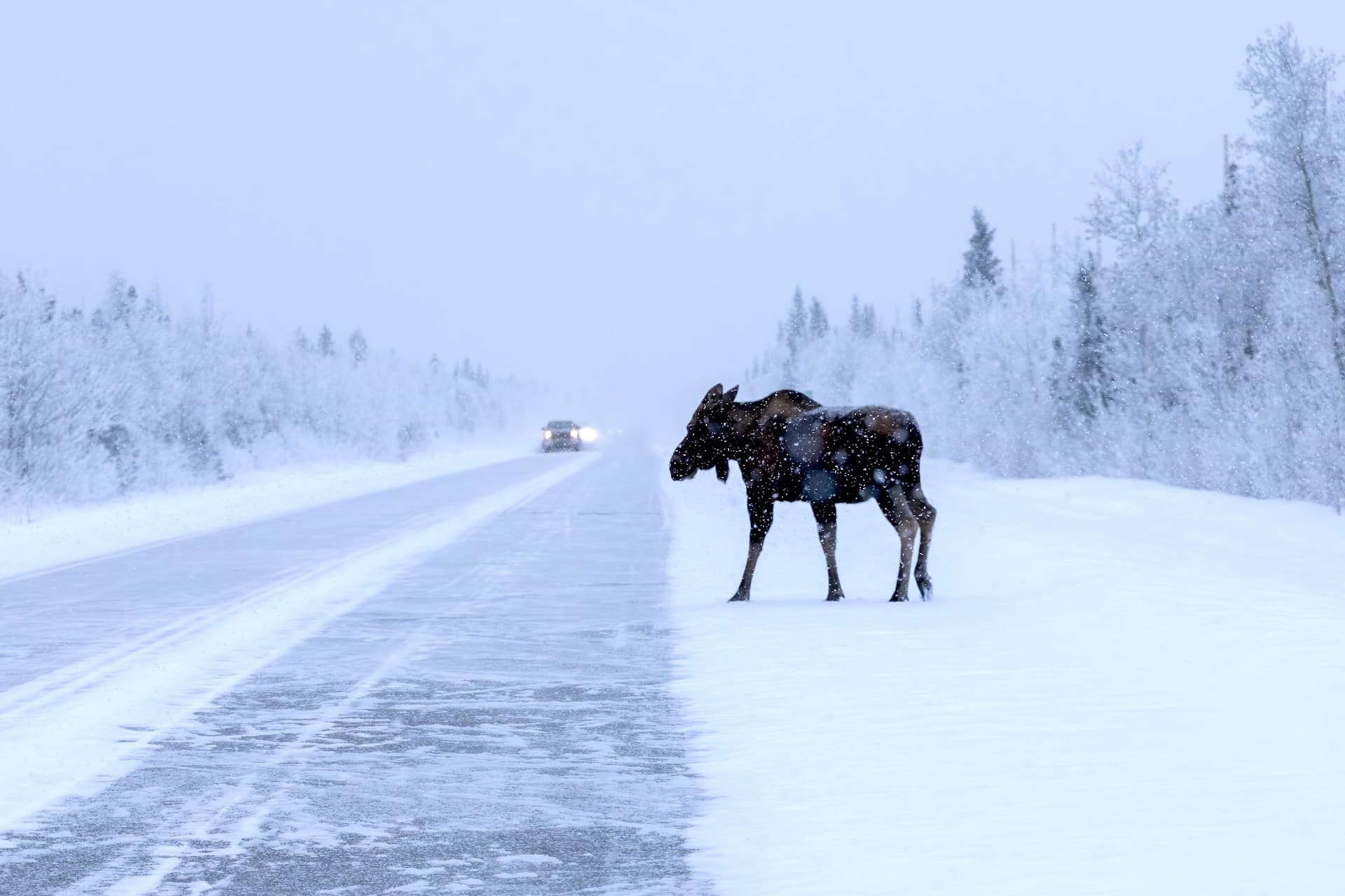 Studie aus Alaska: Elektro schlägt Diesel auch bei extremer Kälte