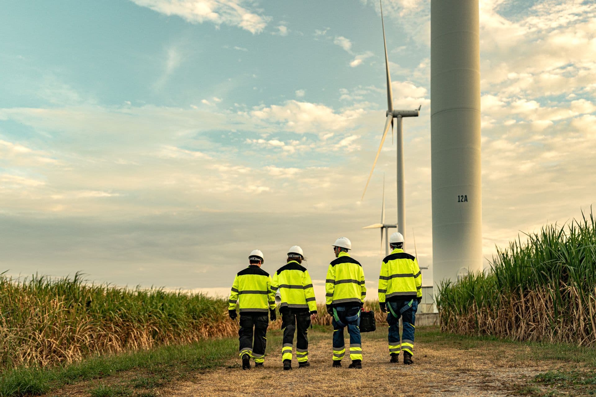 Erneuerbare decken 53 Prozent des Stromverbrauchs