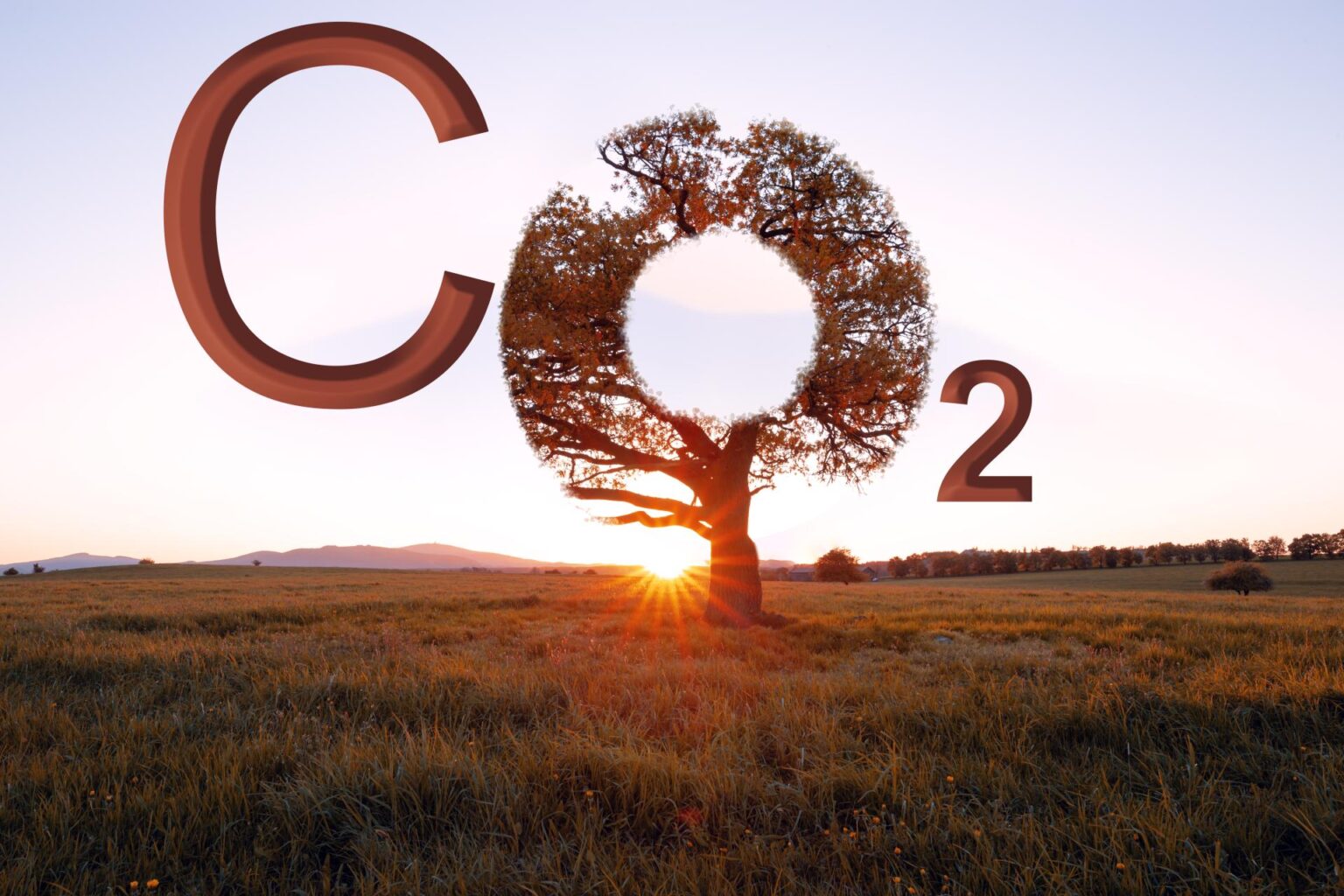 EU-Autolobby will CO2-Ziele wegen Corona-Virus aufweichen