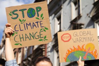 Verbrenner-Verbot ab 2035: Wie Hersteller und Klimaschützer reagieren